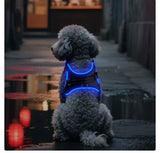DoggoWalker LED Hondentuig – Lichtgevend & Reflecterend