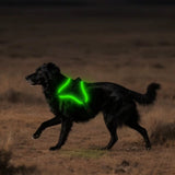 DoggoWalker LED Hondentuig – Lichtgevend & Reflecterend